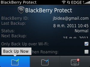 blackberry protect
