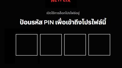 ตั้ง PIN เพื่อล็อคโปรไฟล์ใน Netflix