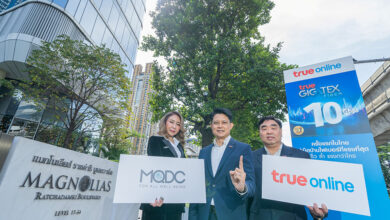 true online gigatex 10 Gbps magnolias