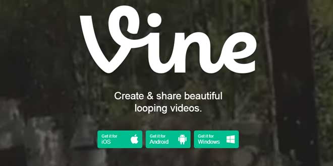 vine